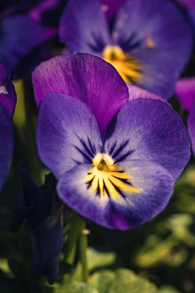 Rathenow „Stadt der Optik“ von David Krause