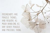 Inspirational design with quote on friendship