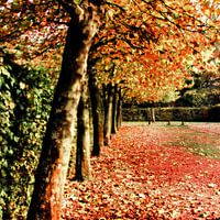 Shades of red and green