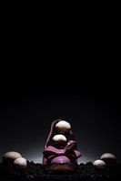 Women's shoe - back to earth