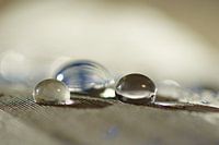 Warten auf einen Traum