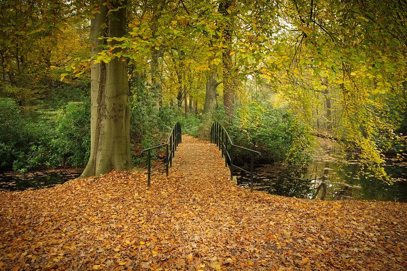 L'automne dans toute sa splendeur par Carla van Zomeren