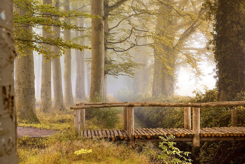 Wooden bridge in autumn forest by Jenco van Zalk
