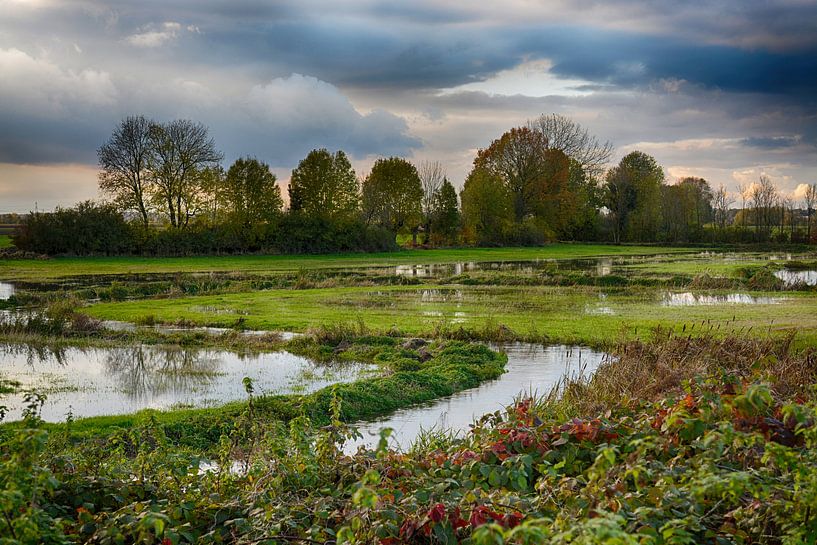 Water on the meadows between Wieler and Rijkel by FotoGraaGHanneke