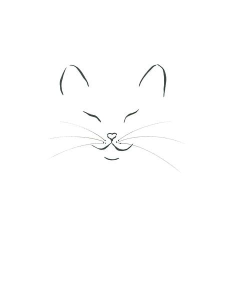 Purrfect Minimalism von Karen Kaspar