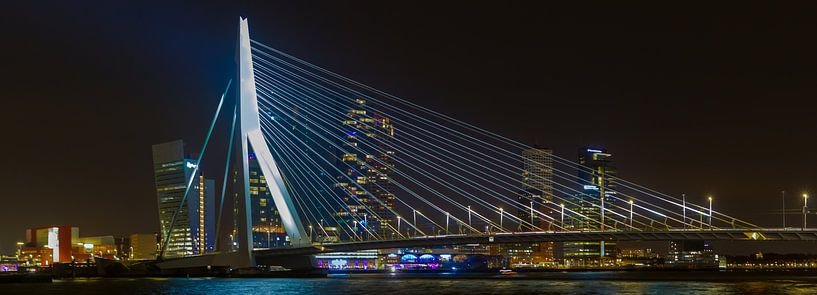 Le cygne par Joran Quinten