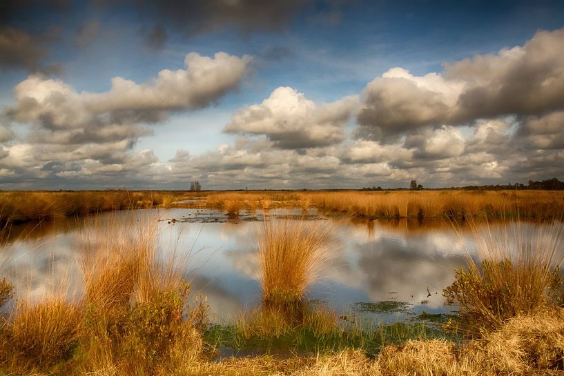 Wolken über dem Engbertsdijksvenen von Tom Kruissink