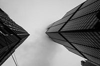 Willis Tower in Chicago in de mist