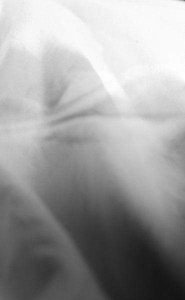 Abfahrtslauf von Karin van Bylevelt