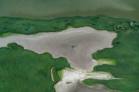 Luftaufnahme Naturschutzgebiet Kontrast grau und grün