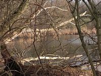 Herfstachtige kijk door de bomen naar het water