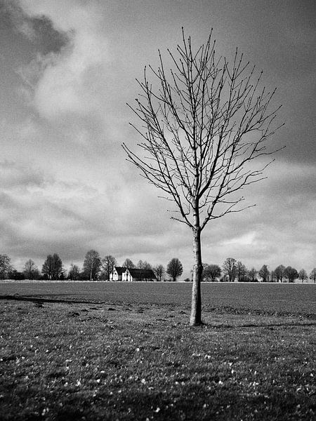 Die Einsamkeit des Überlebenden von Momentaufnahme | Marius Ahlers