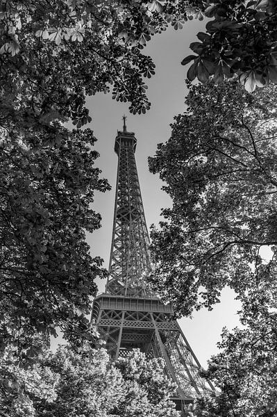 Between heaven and the Seine by Karsten Rahn