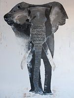 Eléphant majestueux