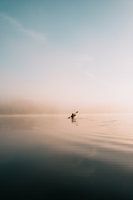 Lone Drifter disappears in fog