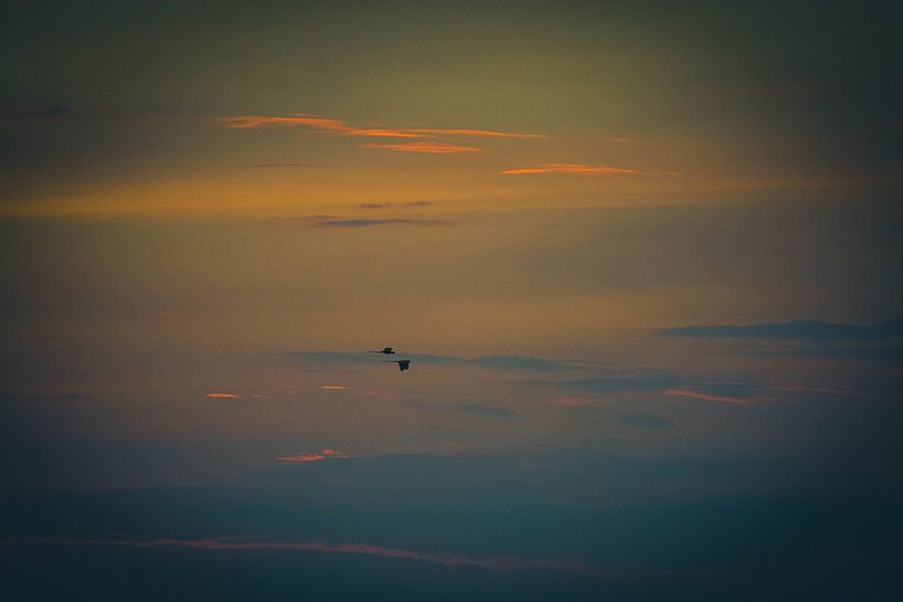 Aras bei Sonnenuntergang von Dennis Langendoen