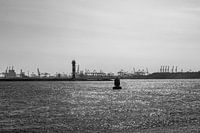 Splitsing Nieuwe Waterweg