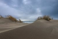 Tussen 2 duinen