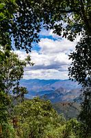 Podocarpus-Nationalpark, Ecuador