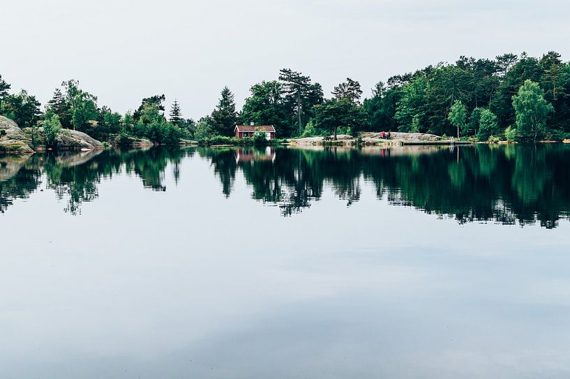 Baneheia by Lisa Vollebregt