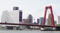 Rotterdam mit Willemsbrug