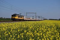 IC Berlin im Frühling