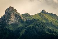 Prachtig zonlicht op een zomerse avond