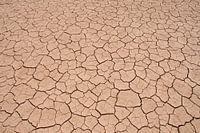 Gebarsten klei in droge rivierbedding