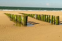 hölzerne Ufermauer bei Ebbe.
