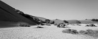 Black-and-white panoramic photo - Sossusvlei