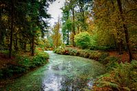 Into the woods, landgoed Fraeylemaborg