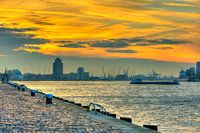 De Rotterdamse Haven tijdens de zonsondergang met boten en skyline Rotterdam