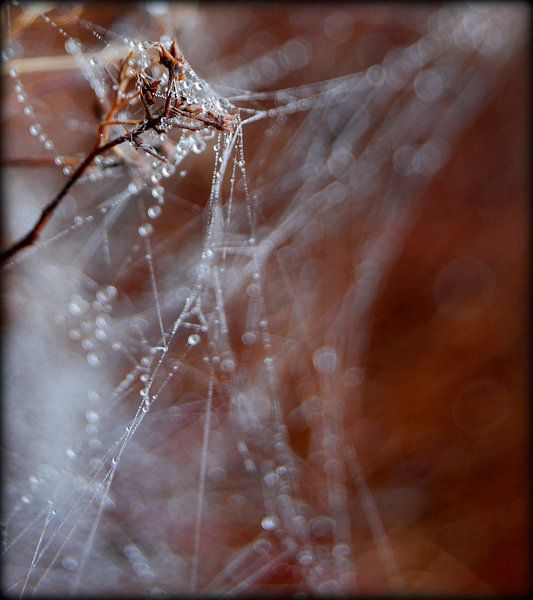 kunst? par Vl-pictures Vera-linde