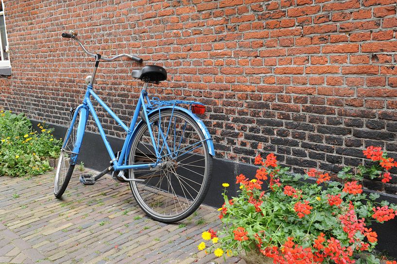 Blauwe fiets tegen muur met geraniums par Mariska van Vondelen