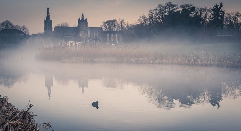 St John's from the Bossche Broek by Ingeborg Ruyken