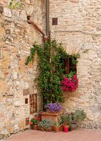 Tuintje in San Gimignano.