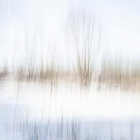 Retour à l'hiver - ICM 1