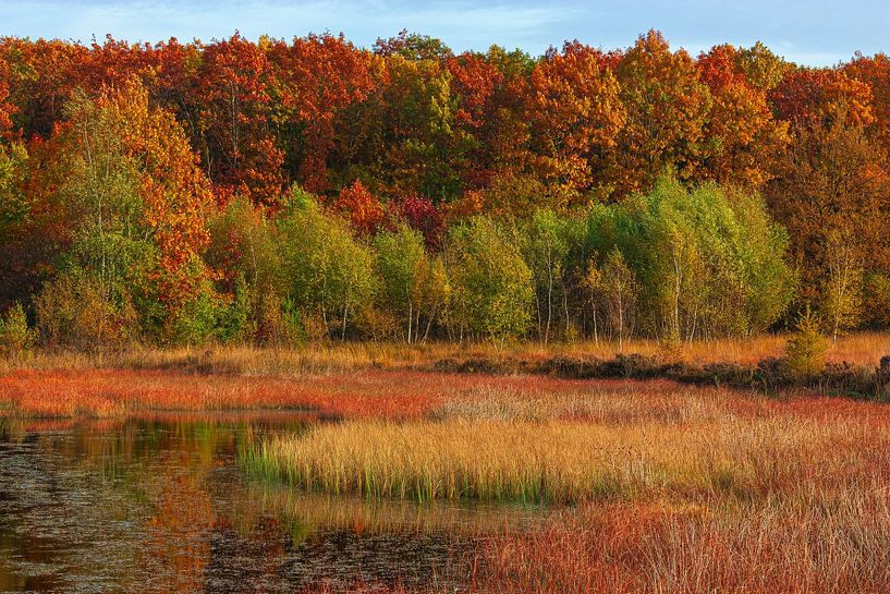 Autumn in Drenthe by Henk Meijer Photography