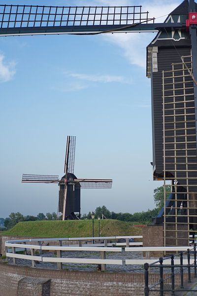 From mill to mill. by Wim Aalbers