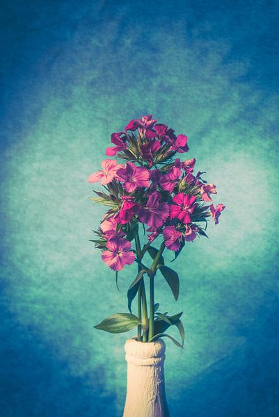 Paarse schoonheden par Lavieren Photography