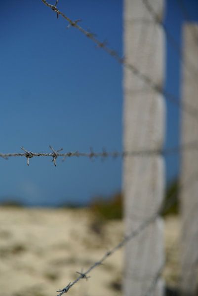 Stacheldraht von Bart Stallaert