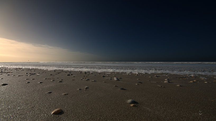shell beach by Erik Reijnders