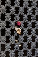 Verwelkte rote Rose zwischen Gusseisenstäben auf dem Friedhof Père Lachaise, Paris