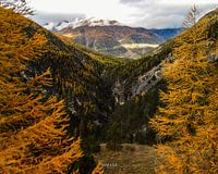 On the way to Stelvio