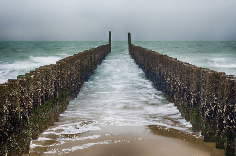 Pole heads at Zoutelande by Mark Bolijn