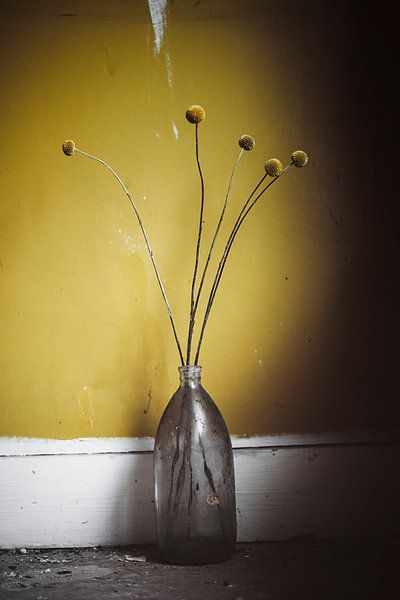 Gelb von Linda Hutten