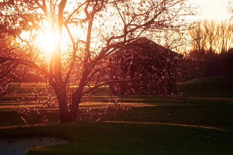 Goede morgen von robin waslander