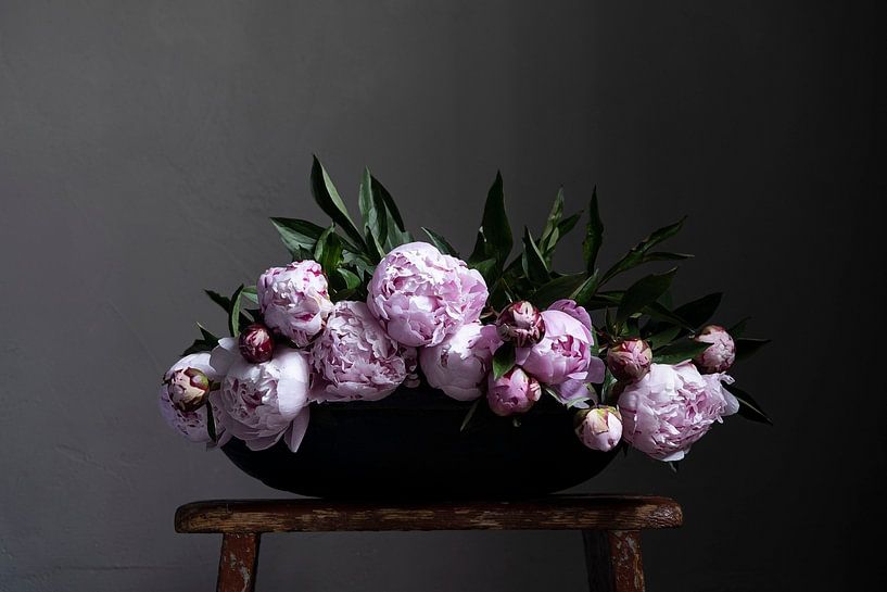 Peonies in flat bowl on red bench by Affect Fotografie