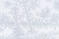 Eisblumen am Fenster einfrieren