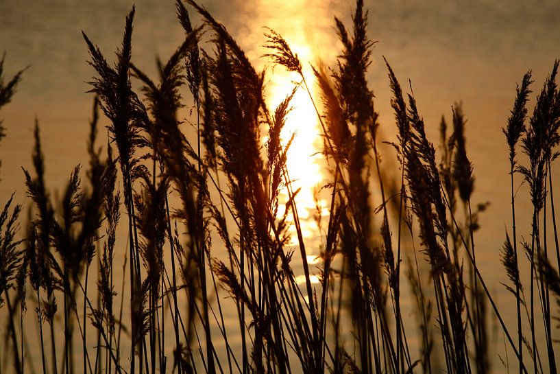 Romantischer Ostseestrand von Thomas Jäger